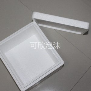 成型泡沫包裝