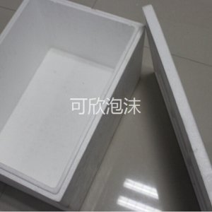 成型泡沫包裝
